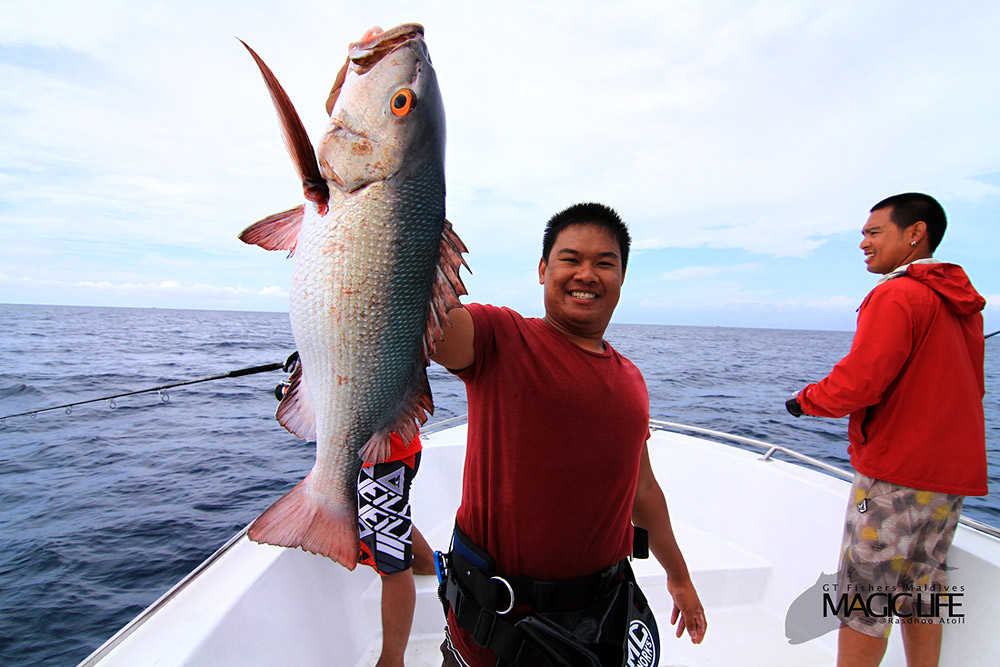 



Topper  กับปลาแดง ที่ไม่แดงครับ









 :grin: :grin: :grin: