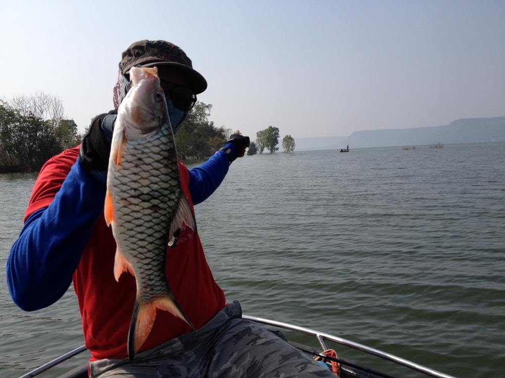  [b]ถ่ายรูปโชว์เรือลำโน้นเขาหน่อยคร๊าพ[/b]