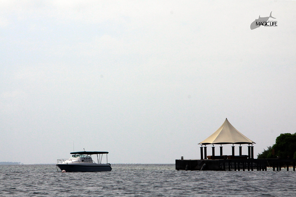 



มัลดีฟ.... มันสวยเกิ้นนน

เรือ  Magic Life  พาพวกเราวิ่งผ่านเกาะที่เต็มไปด้วย Resort  เกาะ