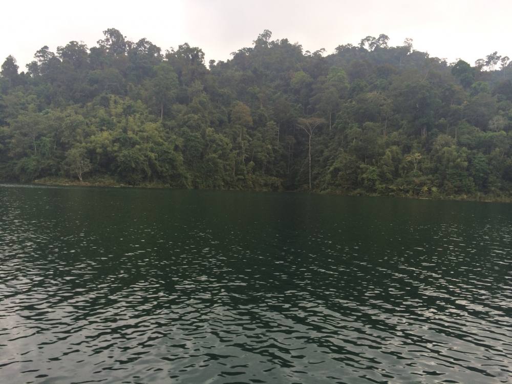 วิวสวยๆ