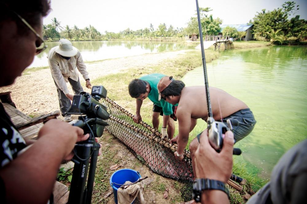 อ้าว..อาโอกิได้ Arapaima อีกละ