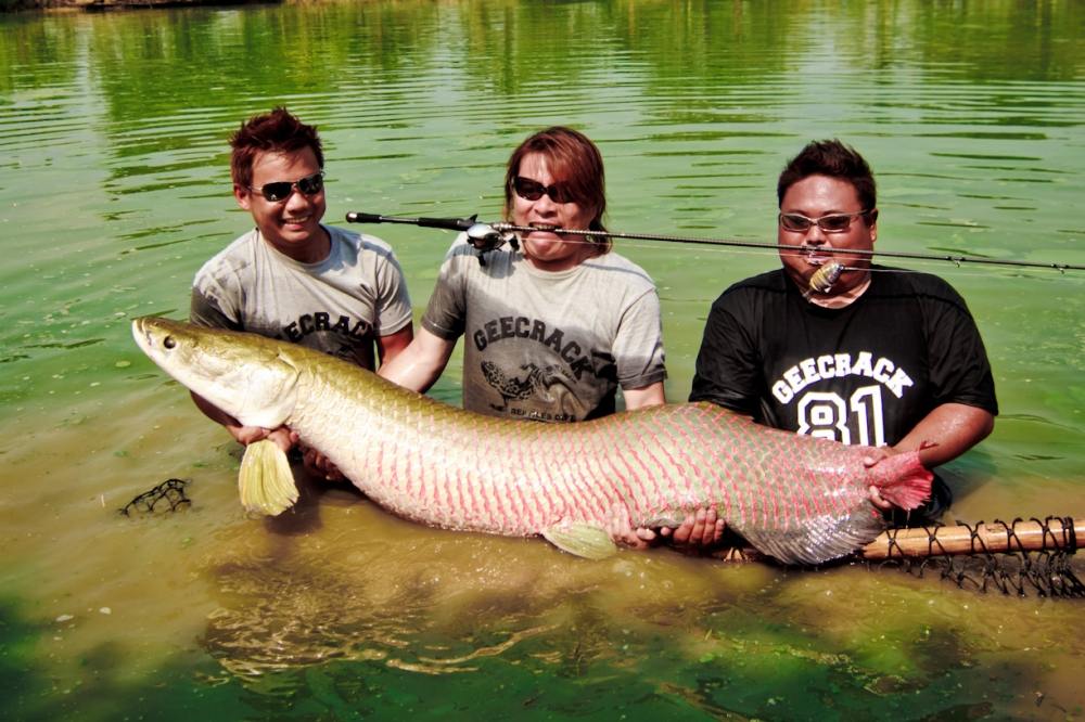 Geecrack
Model: Bottoms up H
line 10-25lbs
