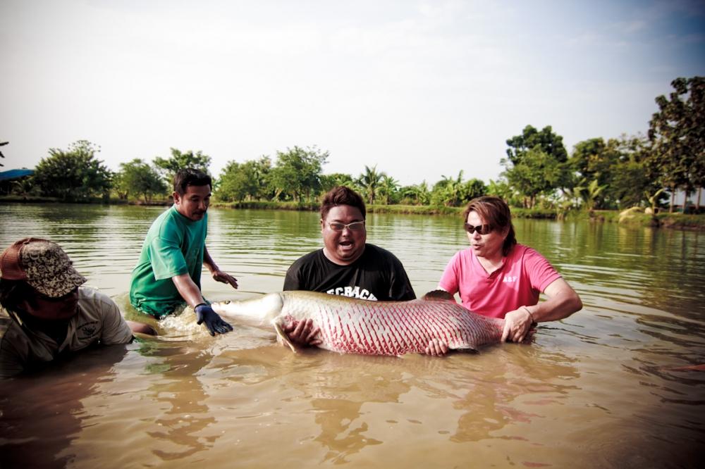 ทาคุ :laughing: :laughing:
