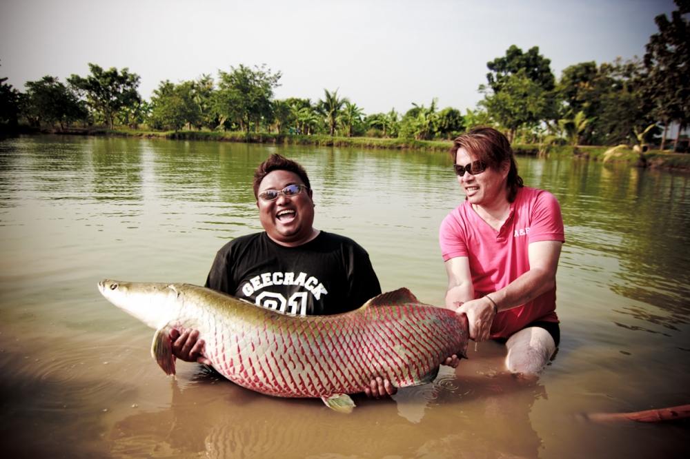 ปล่อยเหยื่อลอยไว้มันมาโฉบบเฉย..... โกงๆๆ  :laughing: :laughing: :laughing:
