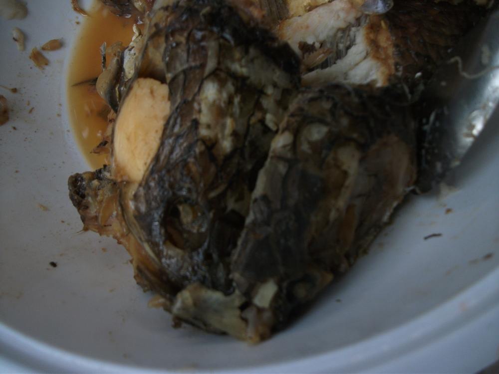 ตัดสินใจทำน้ำยาปลาช่อน กินกับขนมจีนค่ะ   :smile: