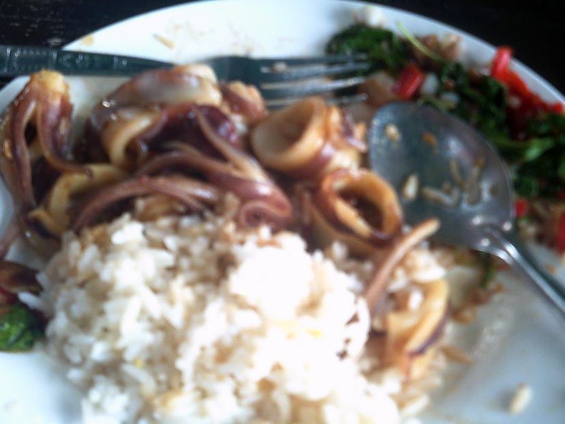 ได้หมึกมาก็สั่งทำกับข้าวกินครับ :grin: :grin: :grin:
