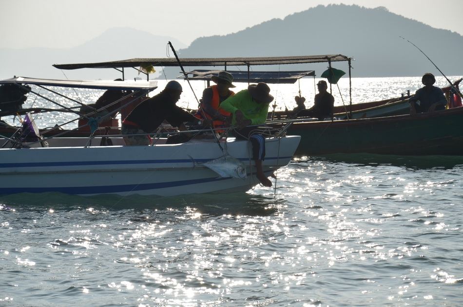 ปลาตัวที่เห็นอยู่นี้ วิ่งเลยเรือผมไป คาดว่าจะพันสายสมอ ของเรือลุงขาว ต้องเอาขึ้นลำนี้ครับ (จับเรียกค