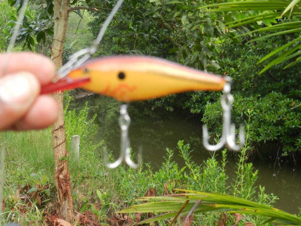 ตีจนฟ้าสางแต่ก็เงียบกริป งั้น ส่งเจ้านี่ลงไปดูอีก 

Rapala Shad Rap 7CM :laughing: :grin: