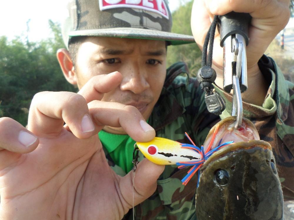 ความสุขเล็กๆของฉัน....BY TOMFISHINGMAN