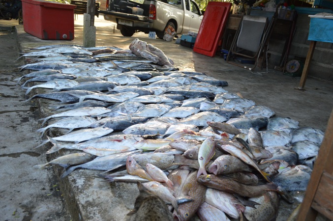 สรุป สำหรับ ขนมจีน Fishing Team  ทริป เราไปกัน 4 วัน 3 คืน  ( 3 - 6 ม.ค. 57 )

ไปกับ เรือชื่อว่า 