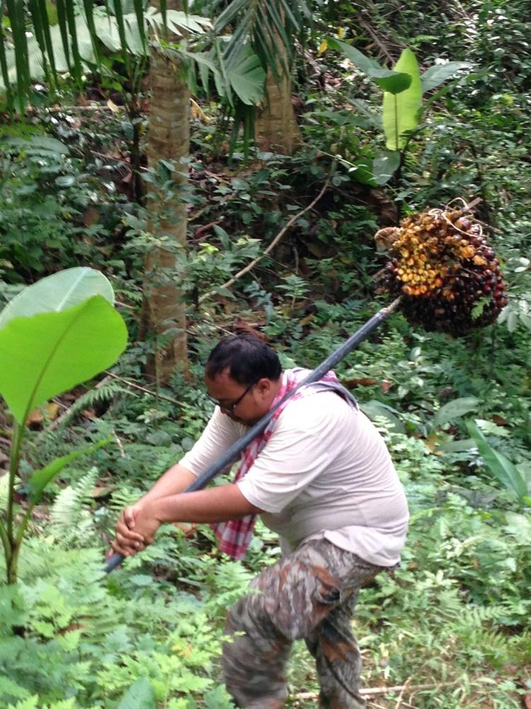                            ขอลากันด้วยภาพนี้นะคับ ขออภัยไว้ในนะที่่นี้ด้วยนะคับ วาจากิริยาใดไม่สุภาพ