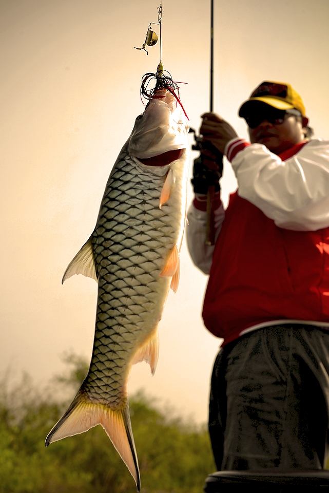 [q][i]อ้างถึง: jokebass posted: 13-01-2557, 23:44:27[/i]

 :cheer: :cheer: :cheer:[/q]


ขอบคุณ