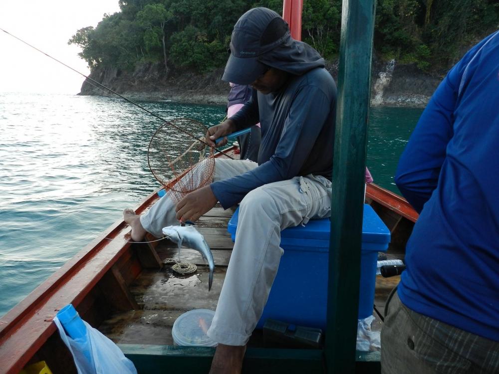 ไม้ที่ 2 ท้ายเรือ จาก น้า tamadaa ครับ ซ้ำตามจุดเดิมที่ของน้า solder51 โดนกัดครับ และก็ไม้พลาดครับ โ