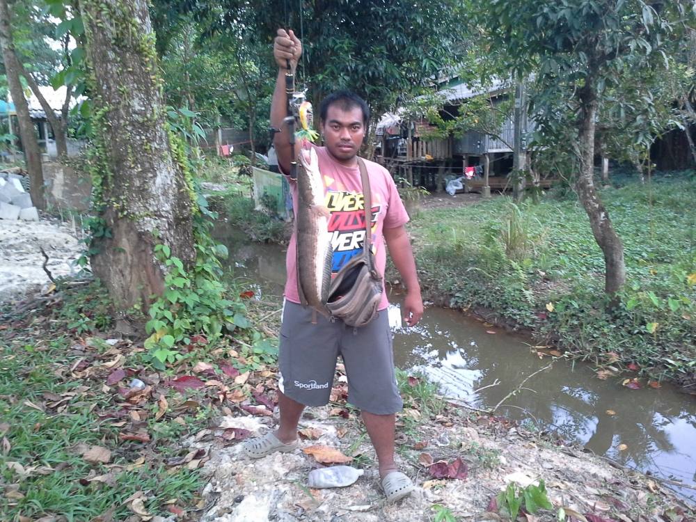 ได้ตัวคับน้า สามไม้คับกัดดุจริงคับ