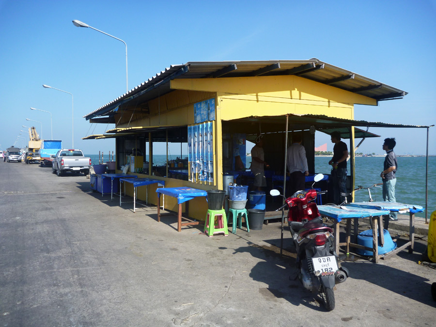 [center]มาที่ร้านนี้ครับ มองเห็นท่าเรือเกาะลอยอยู่ไม่ไกล[/center]