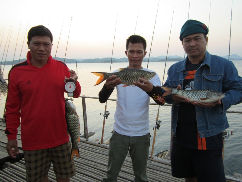 ++ทีมงานไปปั่นกระสูบได้มา3หน่วย++ :cheer: :grin: :grin: