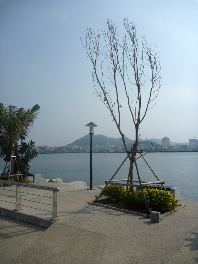  [center]บรรยากาศบริเวณสวนสาธารณะ ท่าเทียบเรือเกาะลอย[/center]