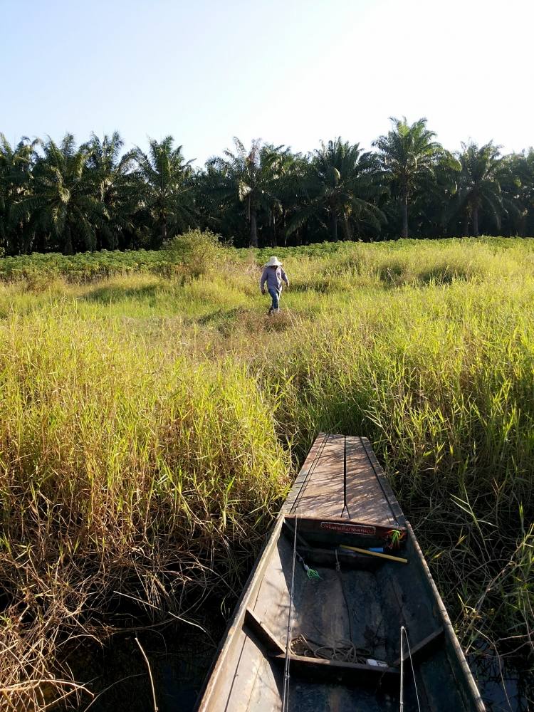 มันลงเรือเร็วมาก เร็วจนผมถ่ายรูปไม่ทัน :laughing: :laughing: :laughing: