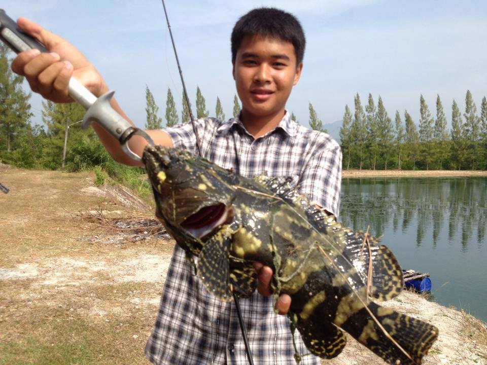 

แจ่มเลยน้องภูมิ.....++++