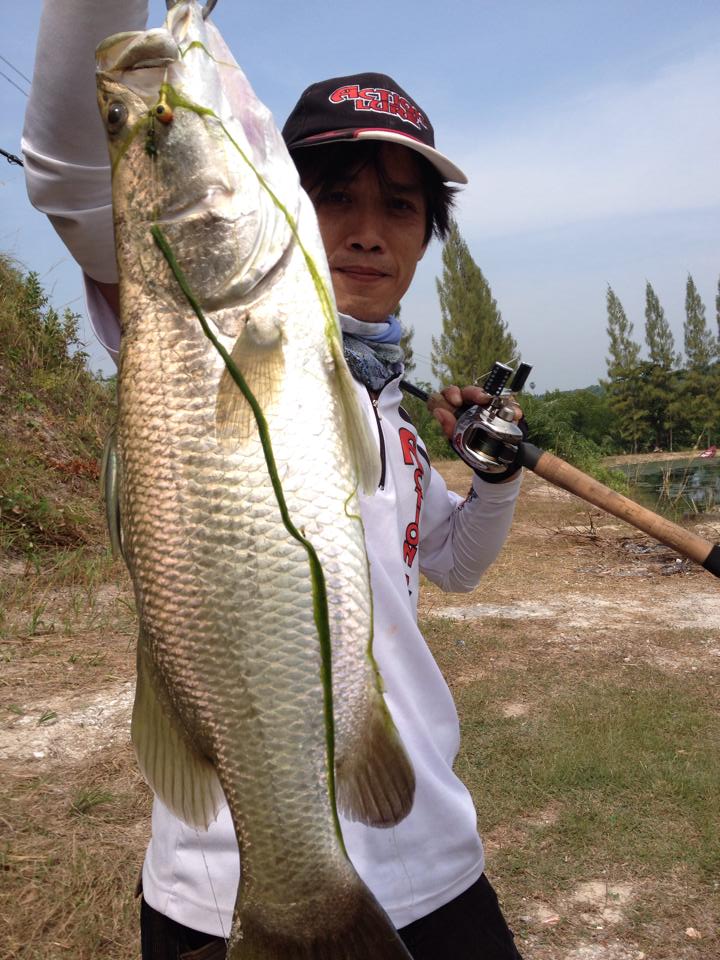 

น้ายิวครับ...........ปลากะพงตัวนี้ ตกด้วยเหยื่ออะไรเหรอครับ..........ตอบน้าโม่งหน่อย............
