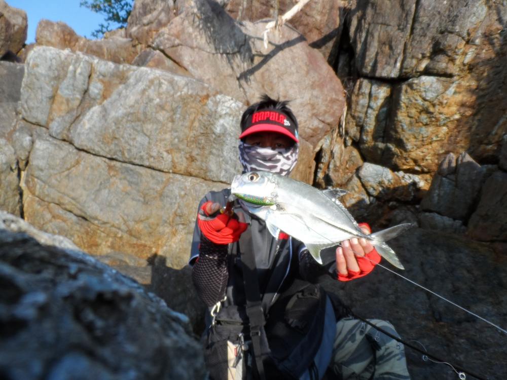 Rapala x-rap countdown 7 cm  :cool: :cool: :cool: