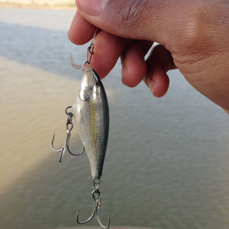 

         rapala alb ครับ

