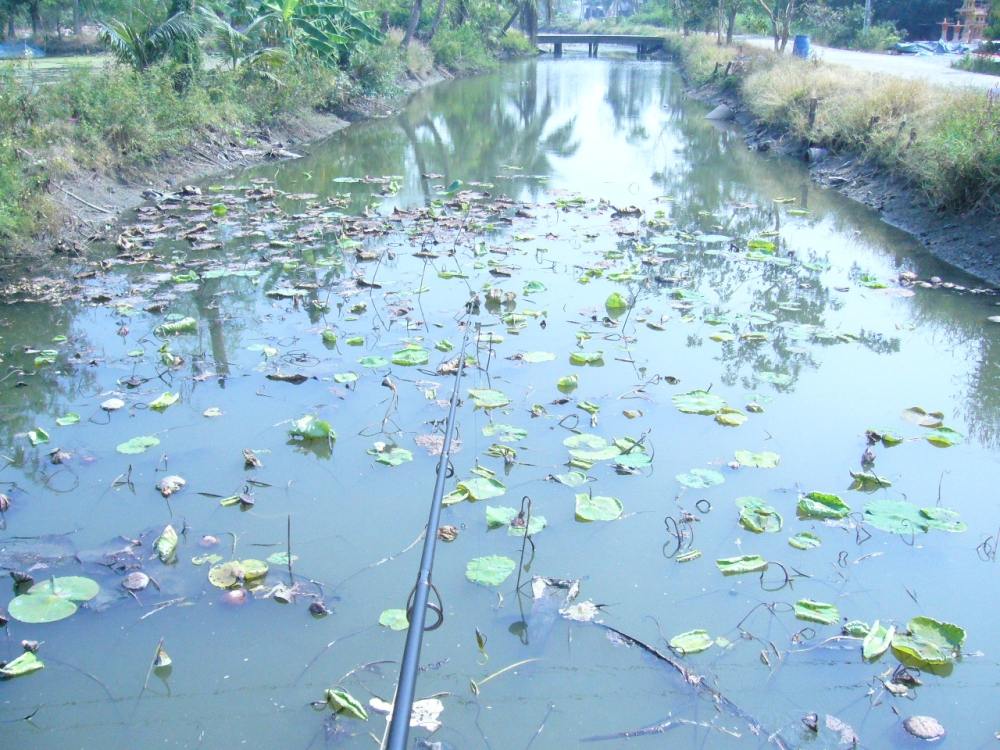 + นี่ถ้าน้ำใสๆก็คงจะดีครับ +  :grin: :grin: