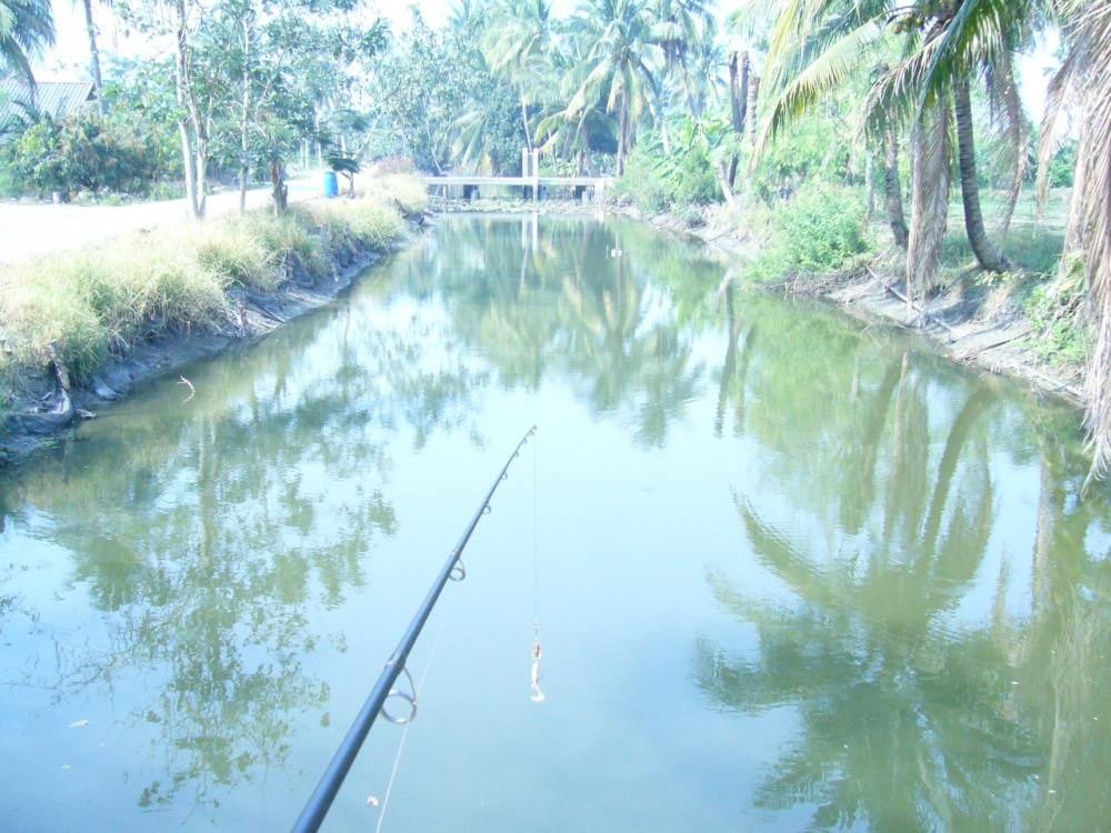 + หันมาอีกด้านนึง...โล่งจัง + 