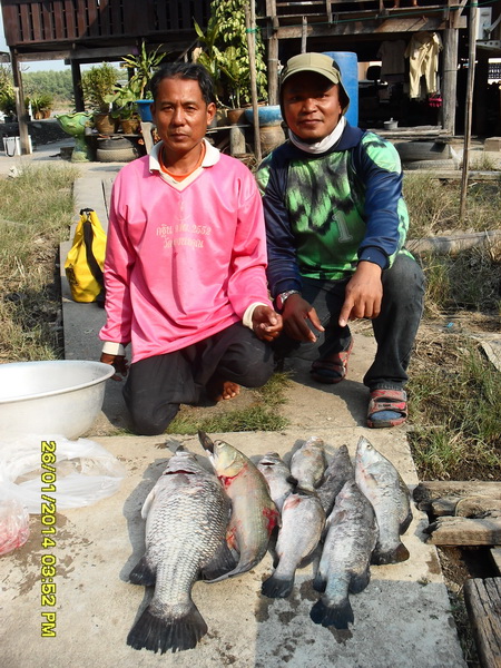 แล้วก็ น้าช้างกับผลงานวันนี้ครับ
 :love: :love: :love: