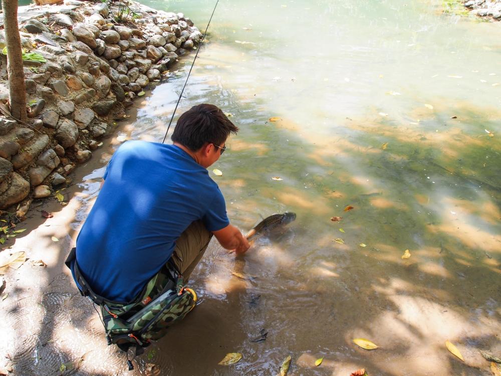 Catch & Release  :grin: