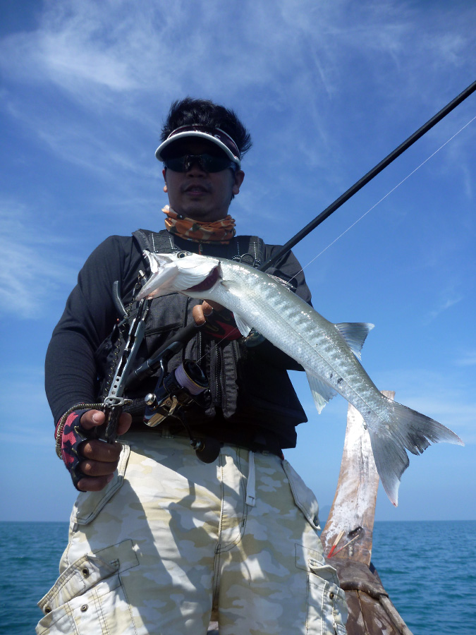 [center]เป็นสากยักษ์ขนาดเบบี๋

สากยักษ์ Great กับ สากดำ Blackfin ดูที่รอยหยักกลางครีบหางจำแนกได้ง่