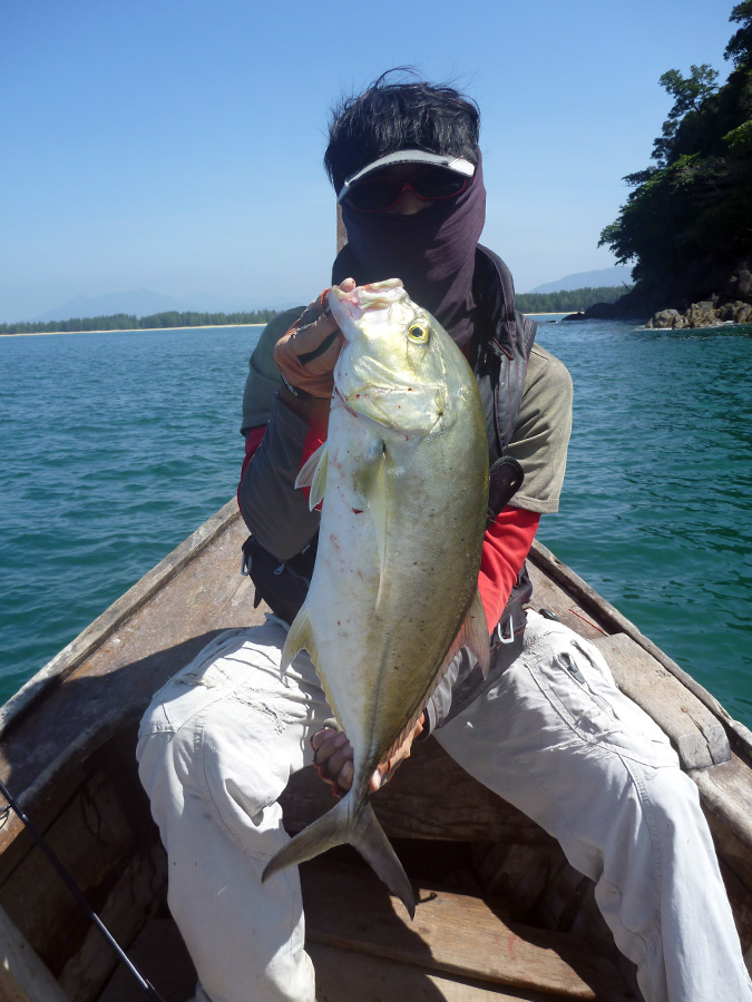  [center]ขออีกภาพครับ

Species : แชกำ, มงกล้วย, กะมงข้างจุด Yellowspotted Trevally (Carangoides Fu