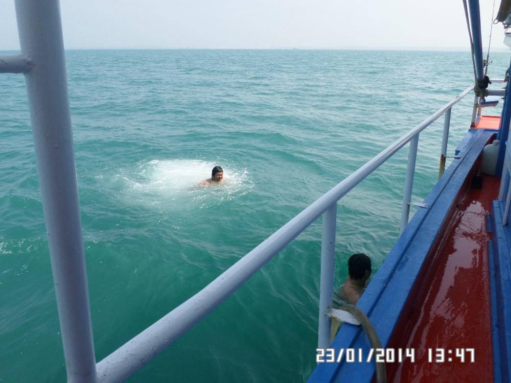 อ้าวมีเพื่อนด้วยน้องหนึ่งนี่เอง