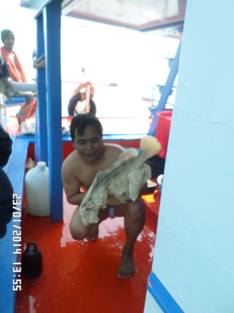 ทำไปได้
