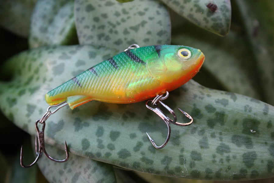 ว่าแล้วก็ลุยเลยดีกว่าา หลังจากจับเหยื่อมาเปลี่ยนเบ็ดเป็นmustad  


อดมานานแระะ ลองตัวนี้ดี 

ขอ