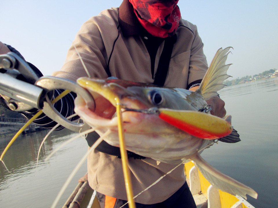 Rapala Flat Rap FLR-8 GFR
