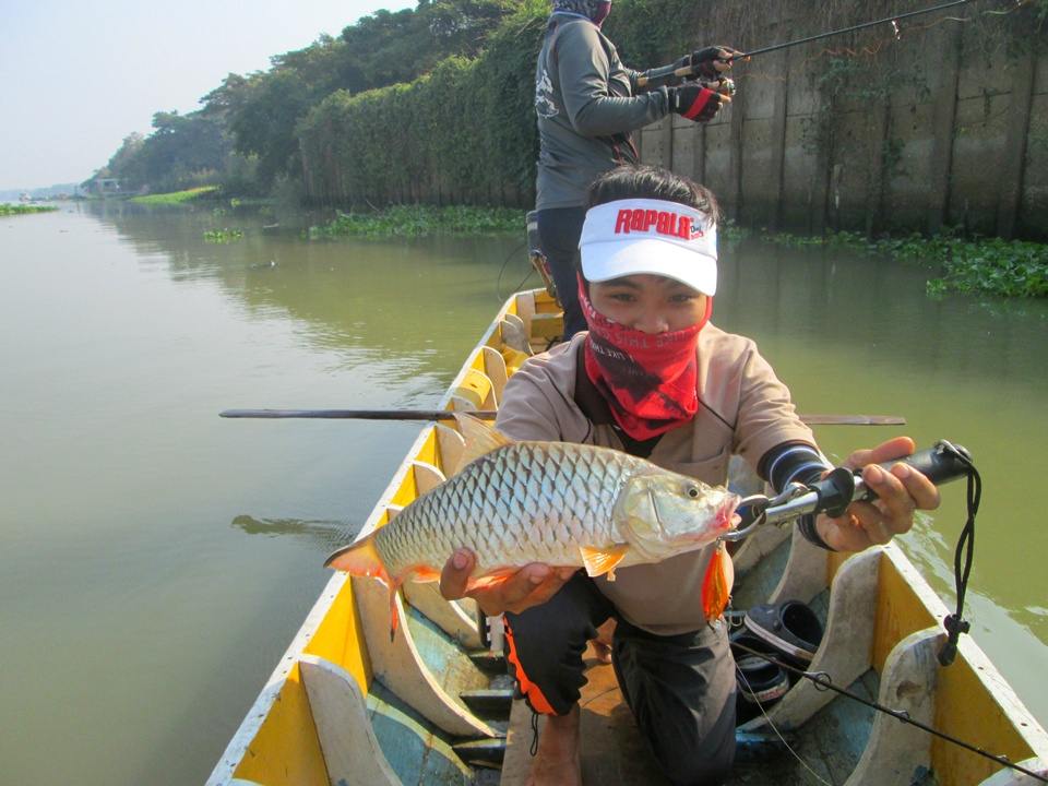 Rapala Shad Rap 5  

 :cheer: :cheer: :cheer: :cheer: