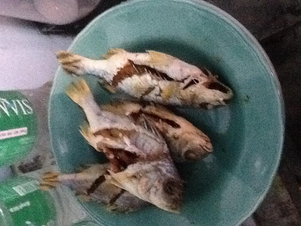 ยามที่ปลาใหญ่หมด ปลาเล็กปลาน้อย แกล้มเหล้า ก็อร่อยหมดนัานแหละ แนะนำทอดทั้งเกล็ด เอาแค่ใส้ออก
ก็พอ ใ