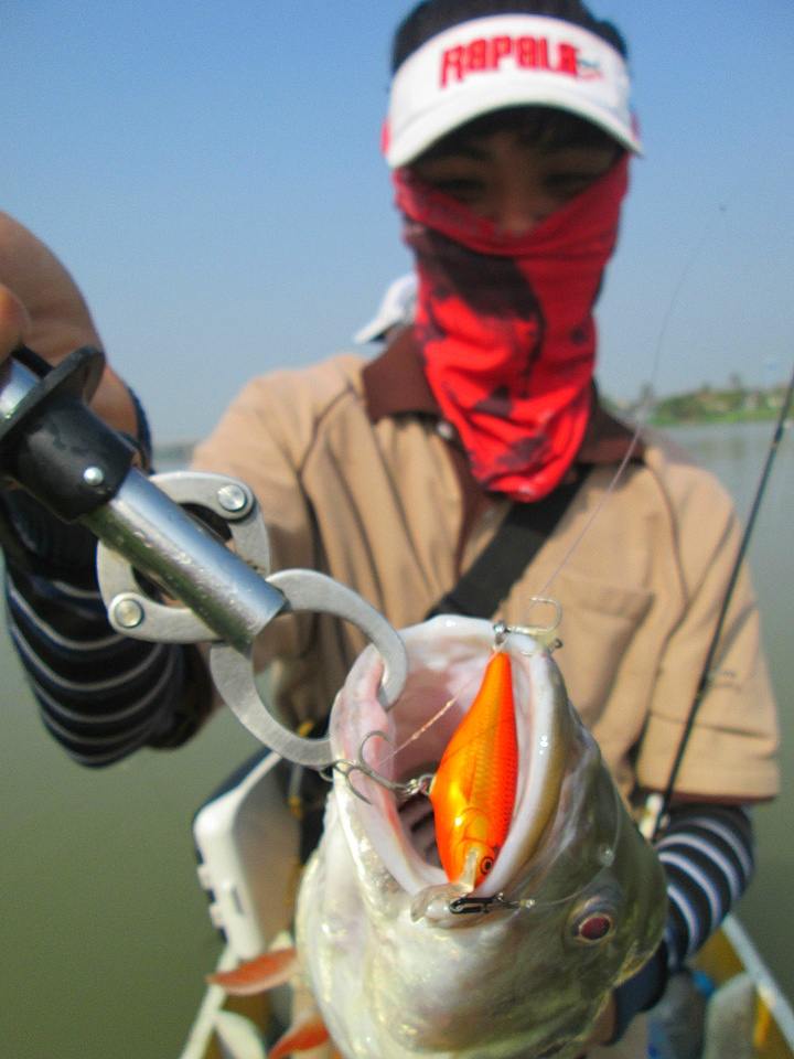 ดูกันดีดี สีส้มเเผงริด