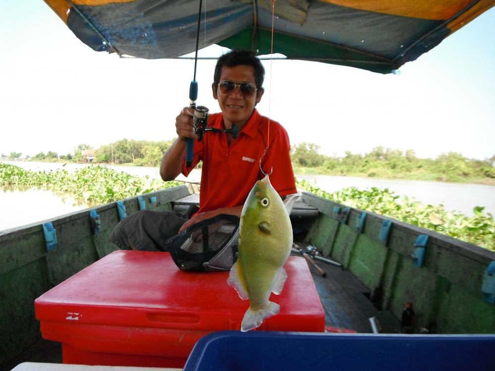 ปักเป็าครับตัวกัดสายเลย :grin: