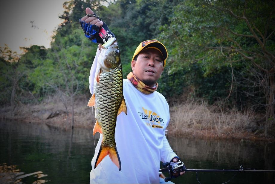 [q][i]อ้างถึง: eigq posted: 02-02-2557, 14:00:14[/i]

ตามชมครับ[/q]
ยินดีครับน้าeigq.............