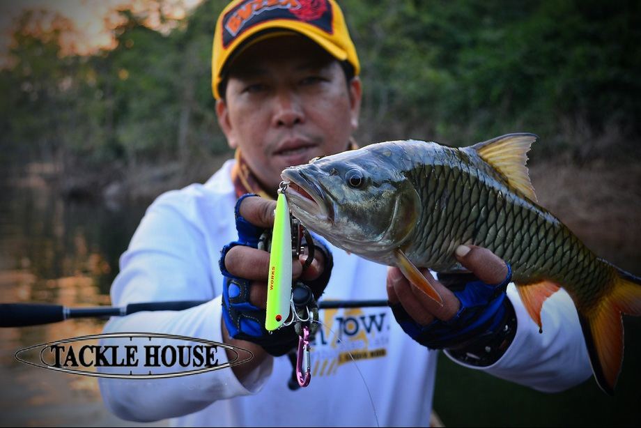  [q][b][center]

LURE ; TACKLE HOUSE   K-TEN WORKS 90 sw.  14g.    :love: :love: :cool: :cool: 


