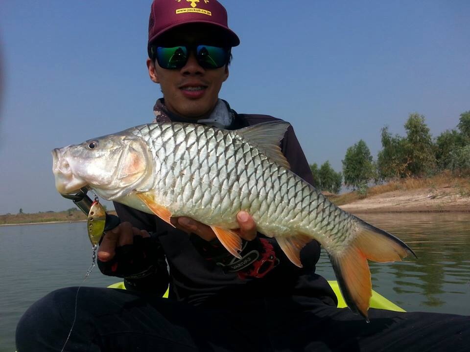 [q][i]อ้างถึง: IsSuE` posted: 03-02-2557, 20:05:41[/i]

 :ohh: :ohh:[/q]

สวัดดีครับน้า lsSuE ขอ