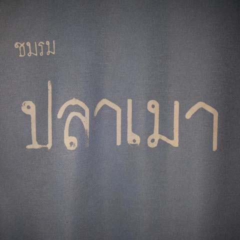  :cheer:ผมตั้งชมรมนี้ขึ้นมาเพื่อจะได้รวบรวมเพื่อนๆมาสนุกไปในทางเดียวกันครับ ชมรม.ปลาเมา :cheer: