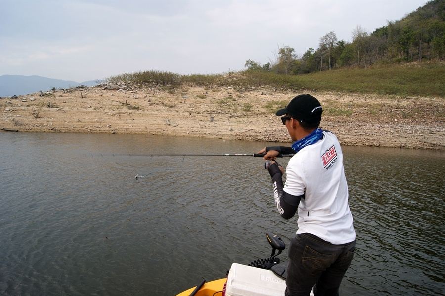 เดียร์ ลองเอาเหยื่อ Hinomiya L-Shad 85f  (ลายปลาย่าง) ผมขอเรียกแบบนี้นะครับ เพราะสีมันคล้ายๆปลาโดนย่