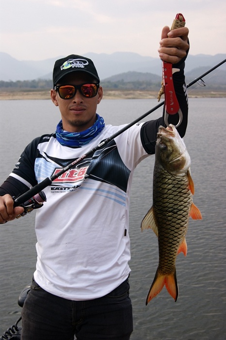 ไซซ์สวยเลย ผลงานเจ้าเหยื่อ Hinomiya L-Shad 85f นะเนี่ย โชคร้ายจริงๆ มีตัวเดียวซะด้วยเหยื่อสีนี้ โดนย