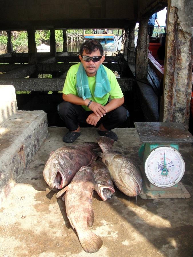   ลุงนงค์ขอหล่ออีกภาพกับเก๋าลูกหมู  :grin:      :grin: