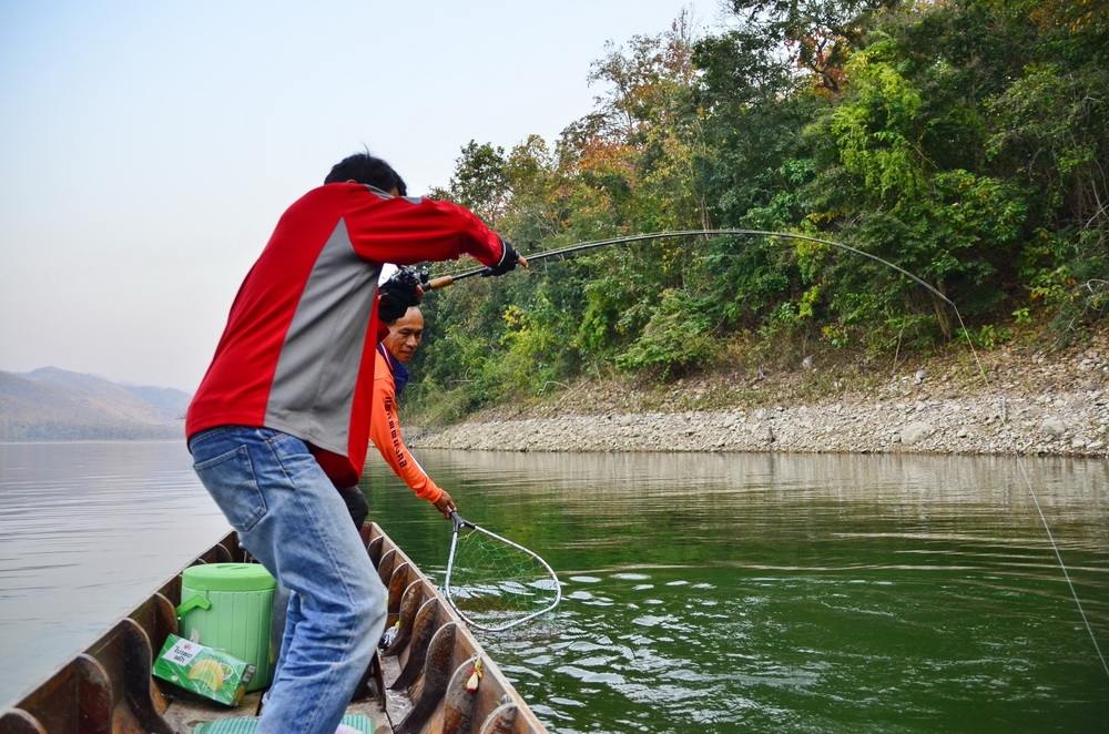 เรือลำผม ไต๋พามาแถวๆ หุบนาสวน ม่องไหนก็จำไม่ได้ ผมกำลัง ก้มจิบน้ำชาอยู่ เพลิน เสียงกบคุณวุฒิก็ สับน้