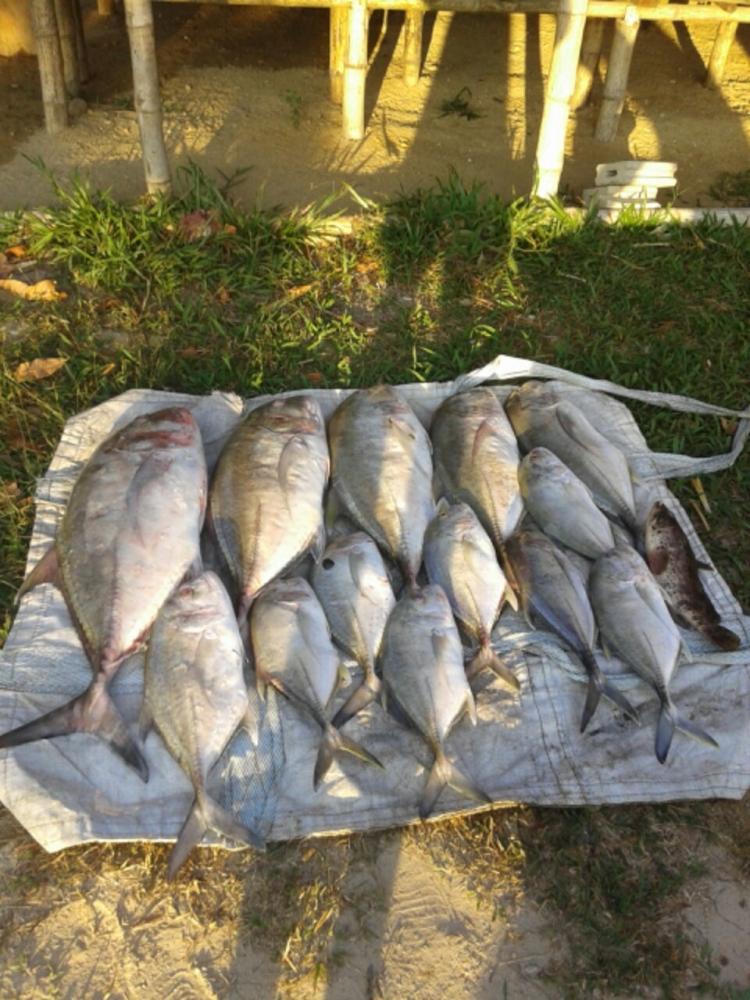 ข่าวสด jigging ระนองหมายใหม่