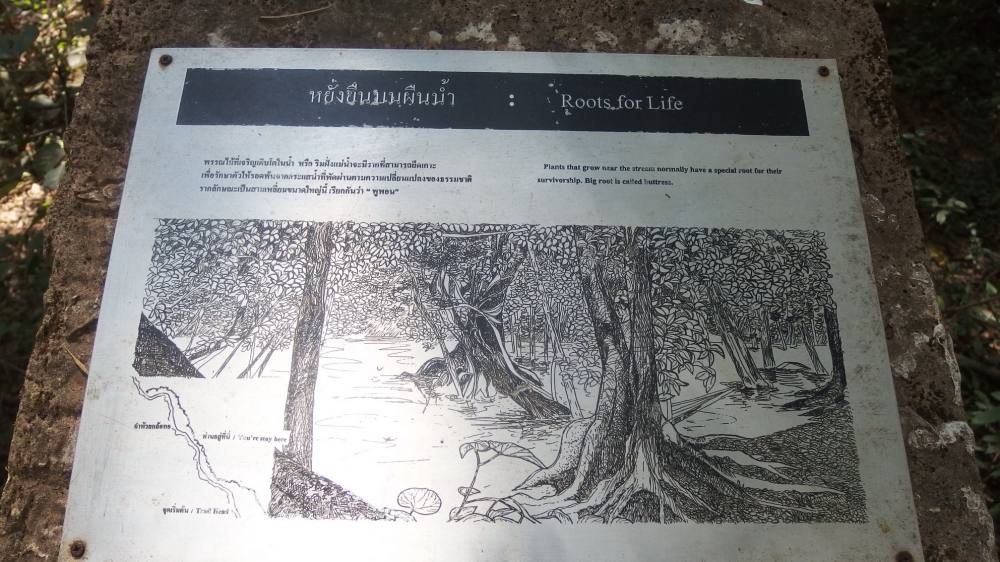 ระหว่างทางขึ้นจะมี แผ่นป้ายเป็นจุดๆให้ความรู้  :grin: